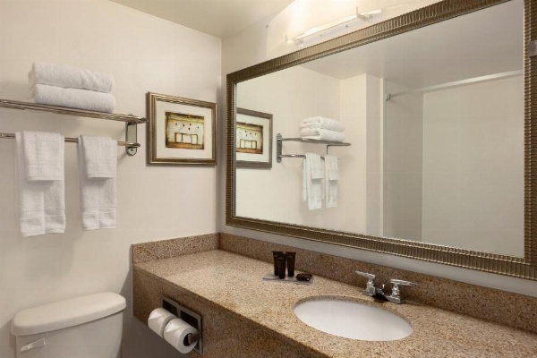 Wingate By Wyndham Montgomery image 36